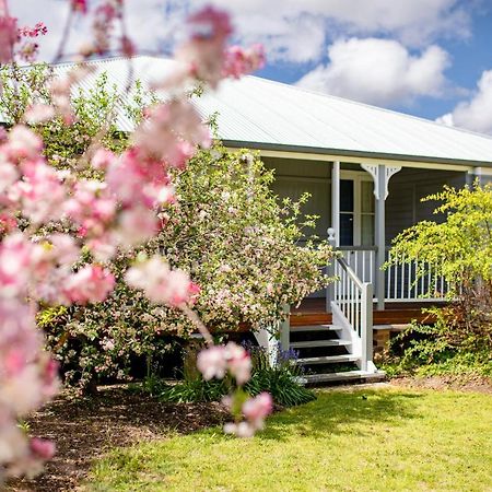 Apple Blossom Cottages ستانثورب المظهر الخارجي الصورة