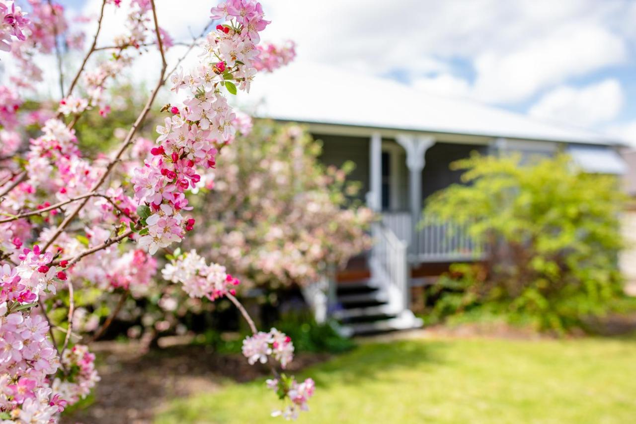 Apple Blossom Cottages ستانثورب المظهر الخارجي الصورة