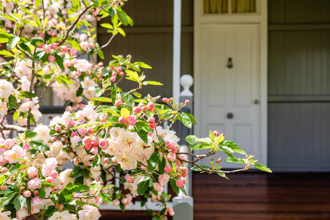 Apple Blossom Cottages ستانثورب المظهر الخارجي الصورة