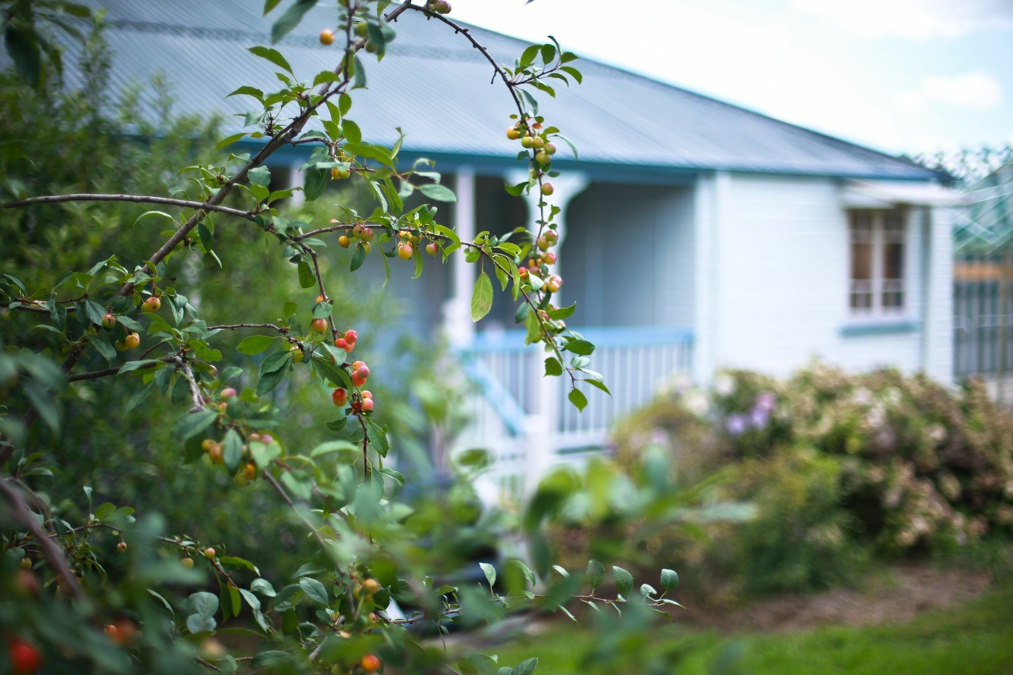 Apple Blossom Cottages ستانثورب المظهر الخارجي الصورة